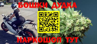крисы Кингисепп
