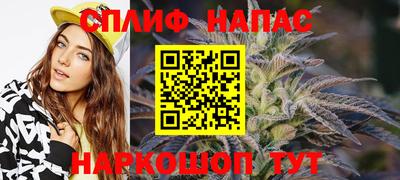 крисы Кингисепп