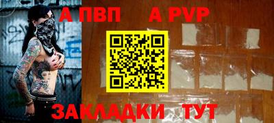 крисы Кингисепп