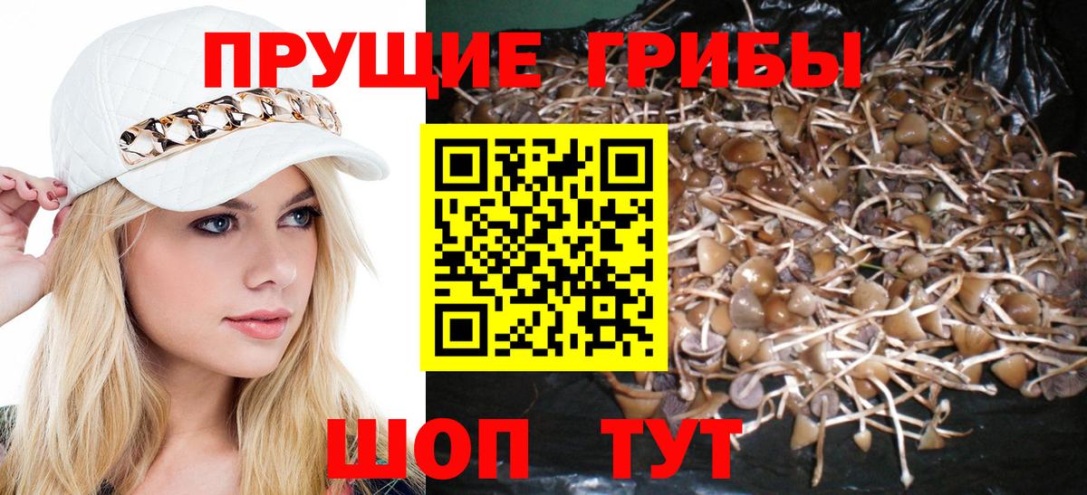 Галлюциногенные грибы GOLDEN TEACHER  Галлюциногенные грибы мухоморы  Зеленодольск  Вход с VPN 